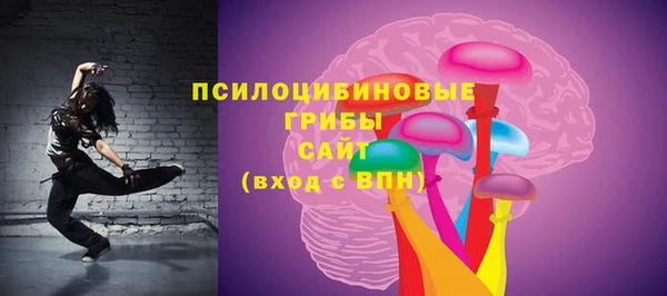 эйфоретик Краснослободск