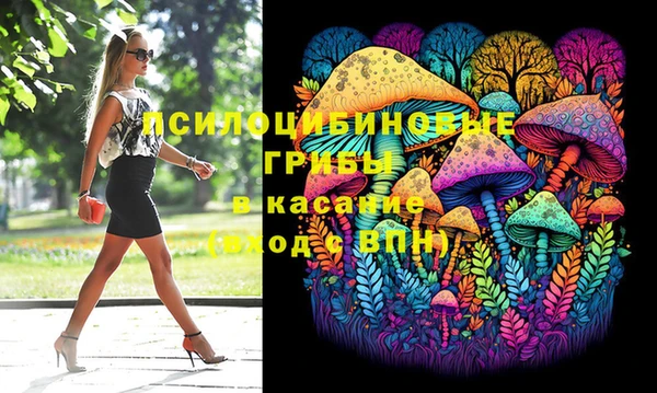 мяу мяу мука Краснотурьинск