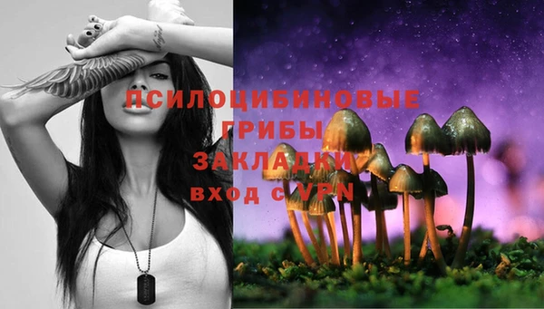 мяу мяу мука Краснотурьинск