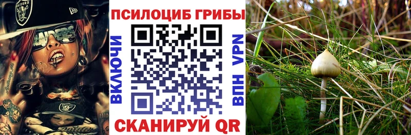 Псилоцибиновые грибы мухоморы  Купить  Березники 